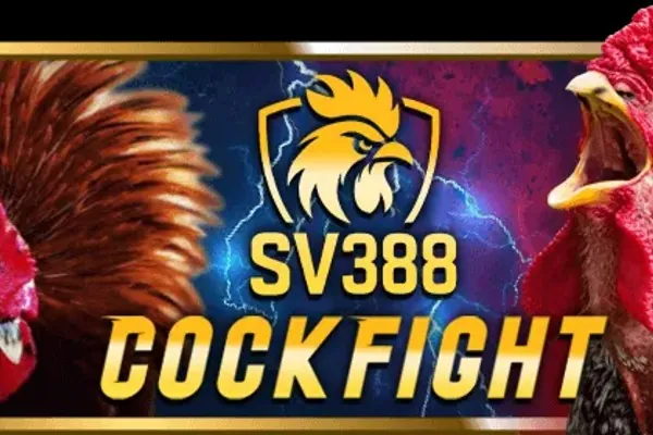 Đá gà Thomo và Campuchia